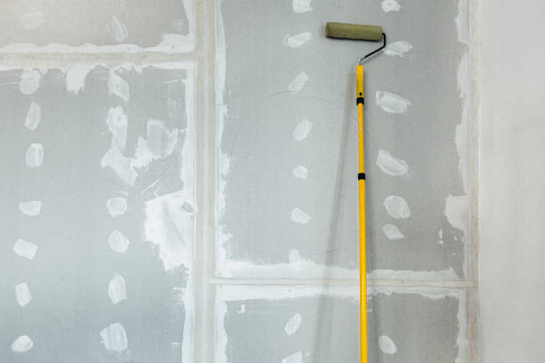 Best Post-Construction Mold Inspection  in El Dorado, KS