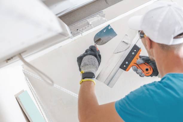 Best Mold Removal for HVAC Installations  in El Dorado, KS